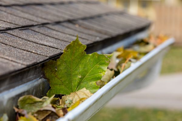 Gutter System Cleaning in Toms River