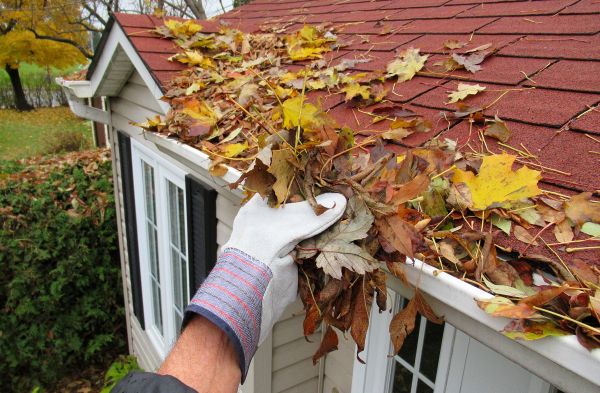 Emergency Gutter Cleaning in Toms River