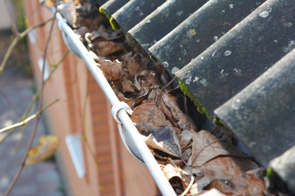 Home Gutter Cleaning in Toms River