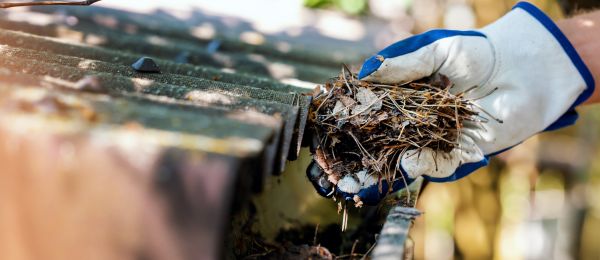 Pine Needle Gutter Cleaning in Toms River