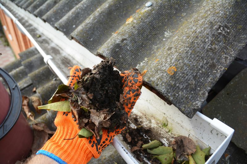 Debris Removal from Gutters