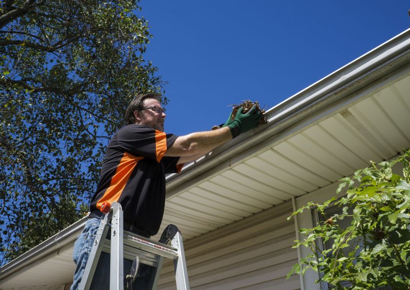 Roof Gutter Cleaning